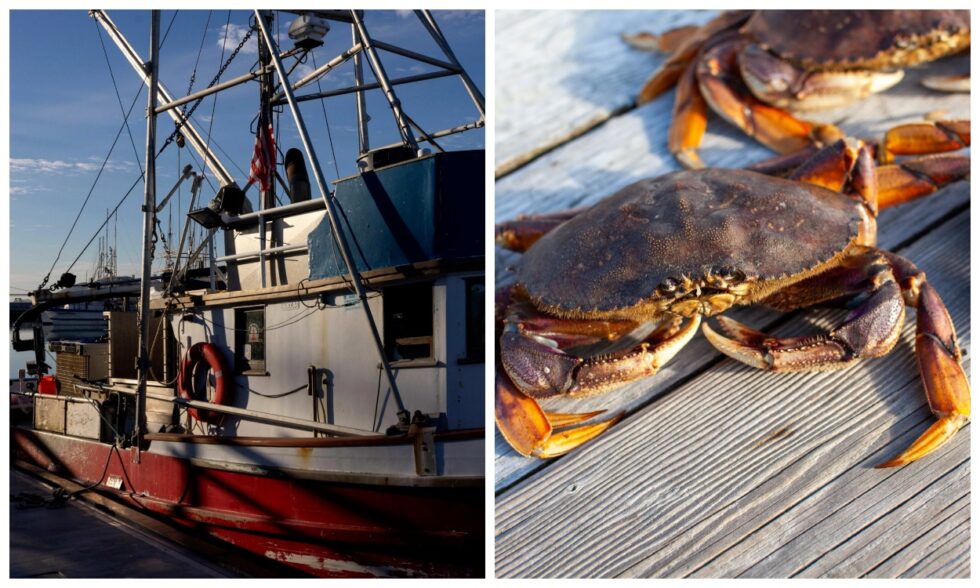 San Francisco’s Fisherman’s Wharf offers a popup market for buying and cooking Dungeness crab directly from local boats, Saturdays through March.