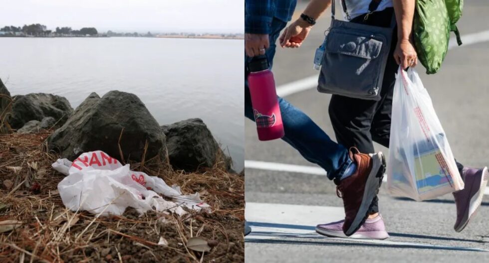 California's SB 54 plastic law goes live in 2026. Learn about the 2032 recyclable mandate, grocery inflation warnings, and "chemical recycling" loopholes. What you need to know now