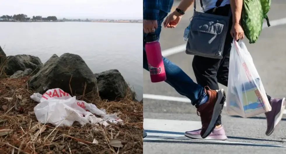 California's SB 54 plastic law goes live in 2026. Learn about the 2032 recyclable mandate, grocery inflation warnings, and "chemical recycling" loopholes. What you need to know now